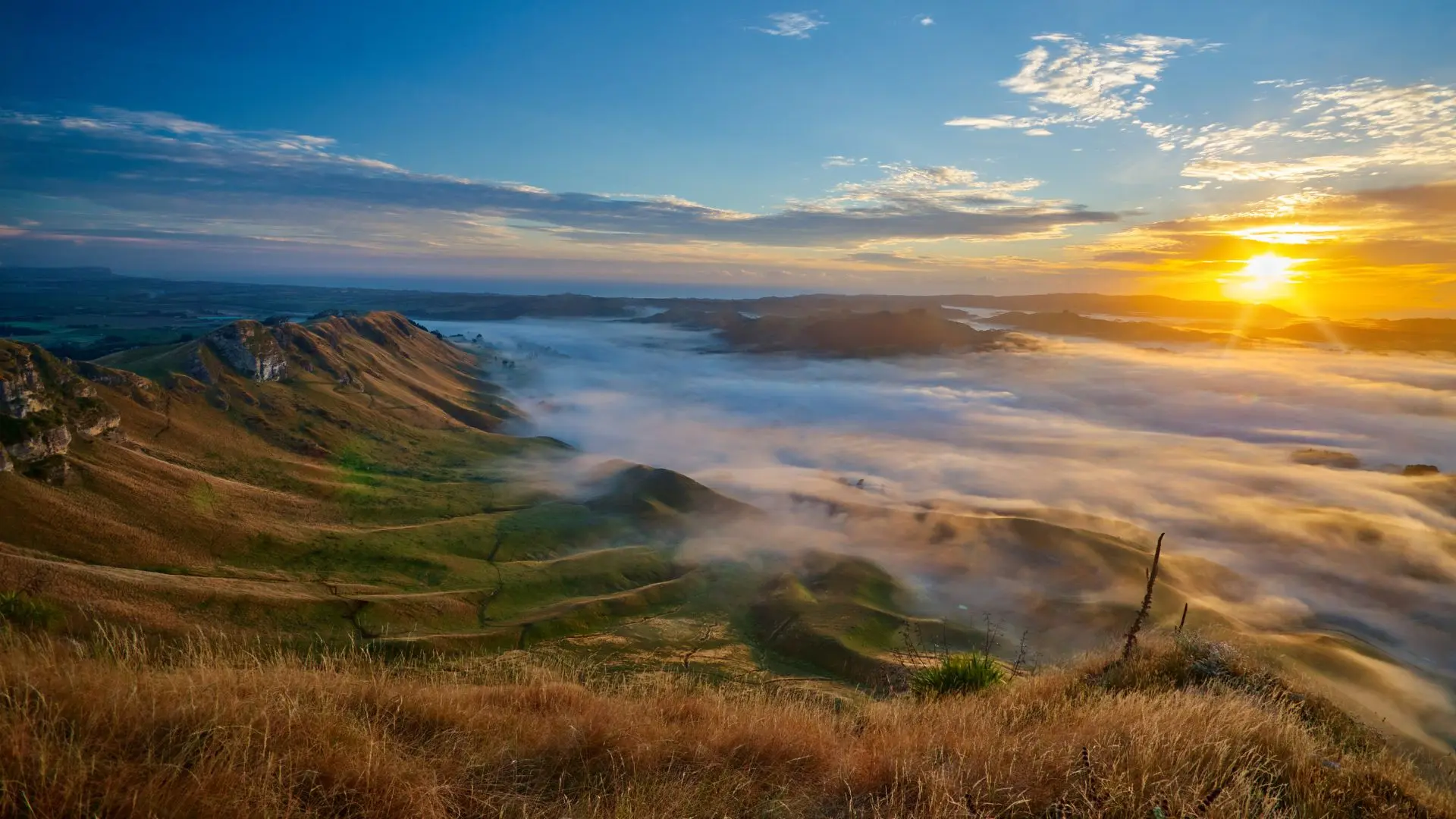 Havelock North landscape, Hawke's Bay New Zealand